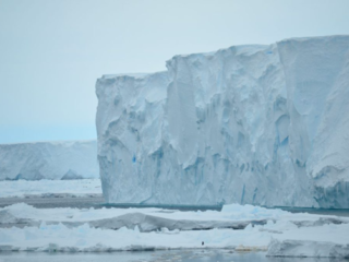 Mertz Glacier front (East Antarctica): one of the few locations where Antarctic Bottom Water originates. Credit: Alessandro Silvano